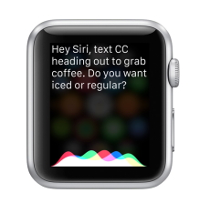 Apple Watch Siri